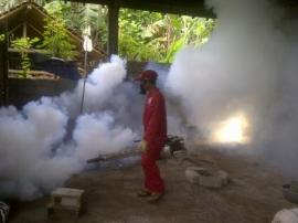 Demam Berdarah Serang Bendungan, Dinkes Lakukan Fogging