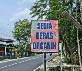 Pangan Organik Menuju Indonesia Sehat