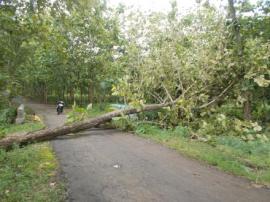 Jalan Gandu-Bendungan Tutup Total