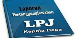 LPJ APBDes Tahun 2019