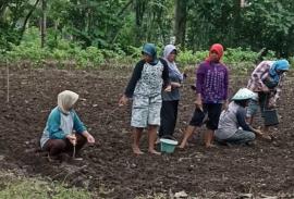 Hujan Datang Petani Senang