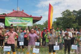 AGROWISATA MERTI BUMI KALURAHAN BENDUNGAN PANEN RAYA PERDANA BAWANG MERAH